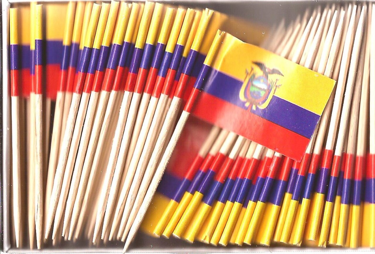 100 Ecuador Toothpick Flags, 100 Cupcake Flag Toothpicks or Cocktail Picks